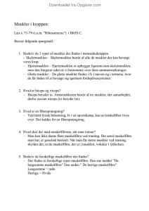 Muskler essay 06 picture