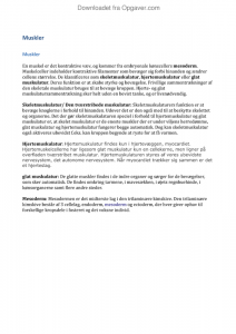 How to make essays longer image