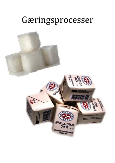 Gæringsprocesser - Naturfag - Opgaver.com