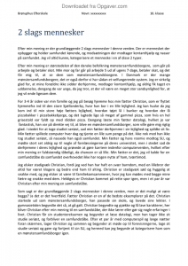 2 slags mennesker essay picture