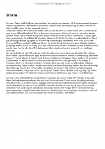 Essay om det sner 08 picture