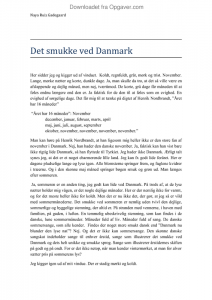 Det smukke ved danmark er essay opgaver 07 image