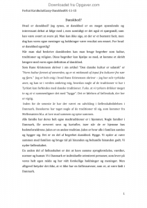 Dansk folkeparti essay 04 image