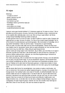 Essay on rejse 02 image