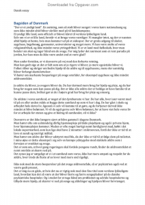 Essay bagsiden af danmark 02 image