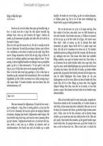 Essay om krig picture