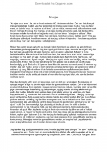 Essay on rejse 08 picture