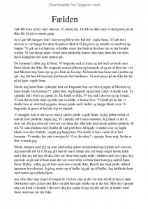 Dansk folkeparti essay 05 image