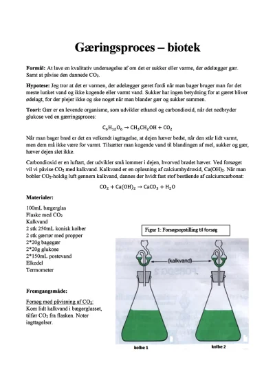 Forsøg med gærringsproces - Biologi - Opgaver.com