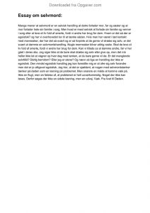 Essay om ungdom 05 image