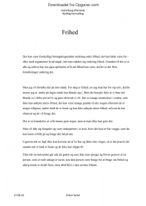 Dansk folkeparti essay 02 picture