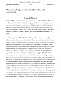 Essay hhx dansk 08 image