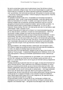 De tre planer i et essay 03 picture