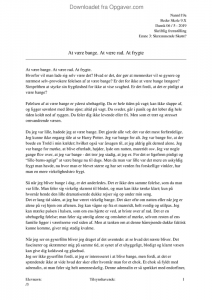 Dansk skriftlig eksamen essay picture