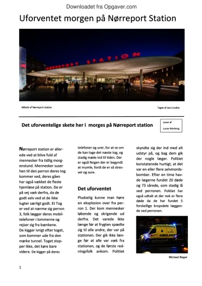 n-rreport-rapotage-dansk-opgaver