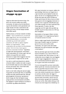 Essay hhx dansk 02 picture