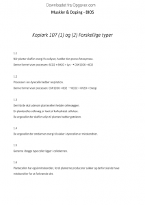 Muskler essay 08 picture