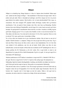 Opbygning af essay dansk 04 picture