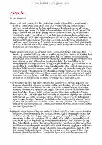 Solen skinner essay 08 image
