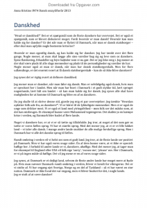 Dansk folkeparti essay 08 image